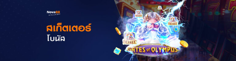 home-promotion-7-768x200